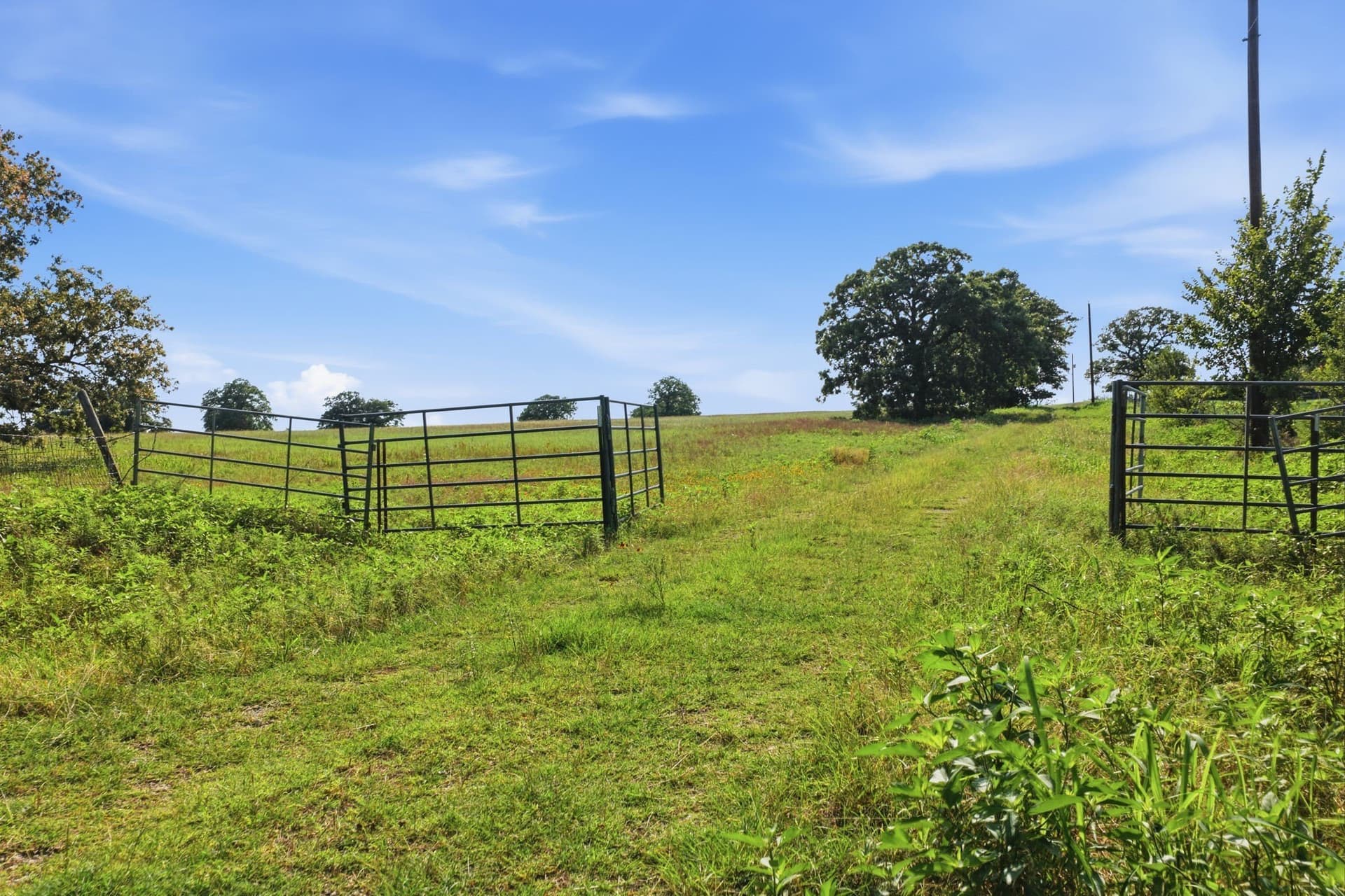 16.36 acres in Parker County - photo 14