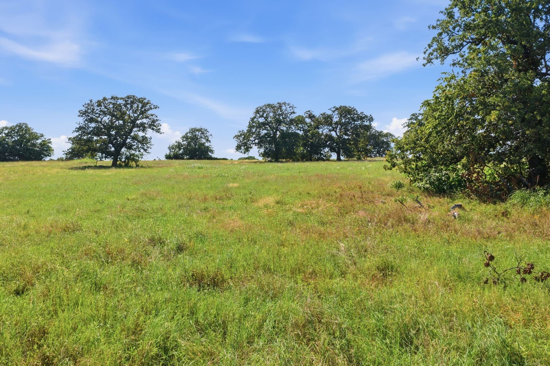16.36 acres in Parker County - photo 28