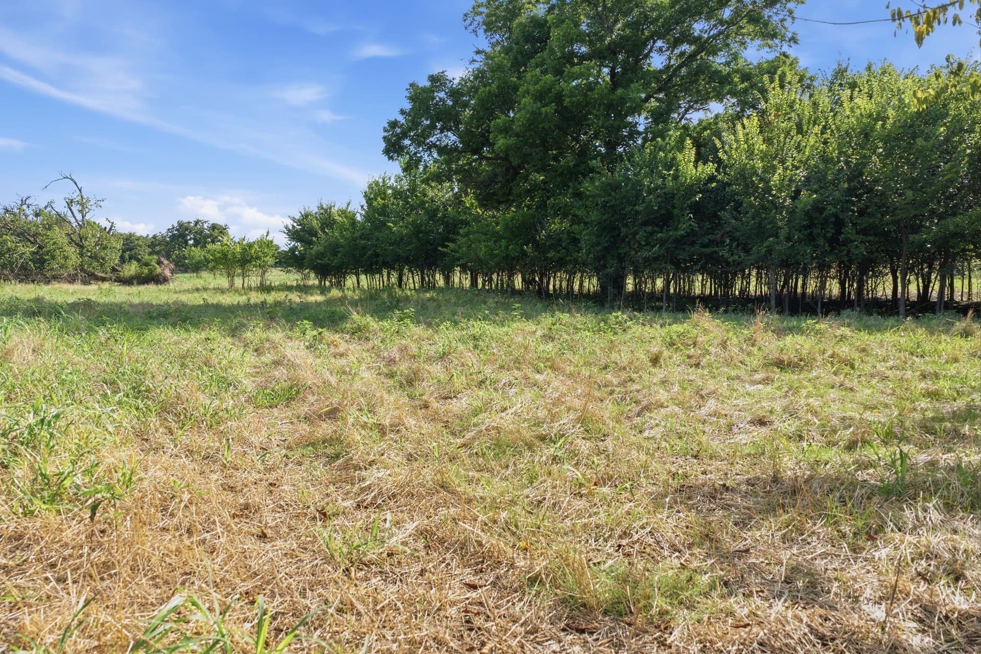 16.36 acres in Parker County - photo 11