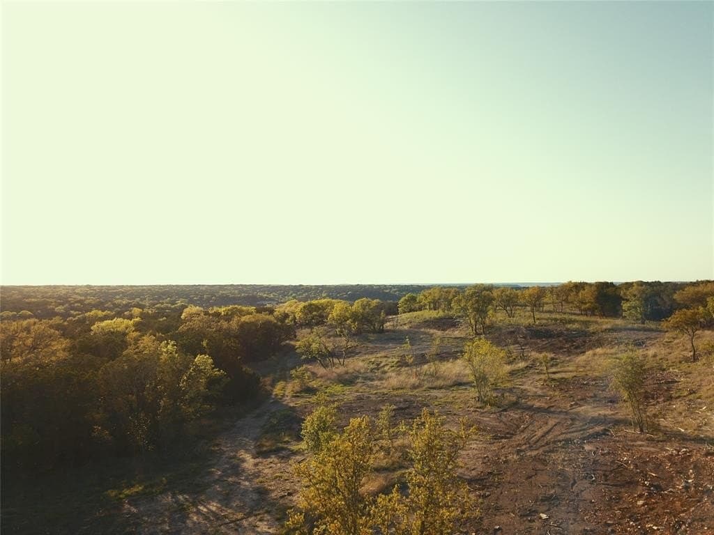 68.76 acres in Coryell County gallery image 3