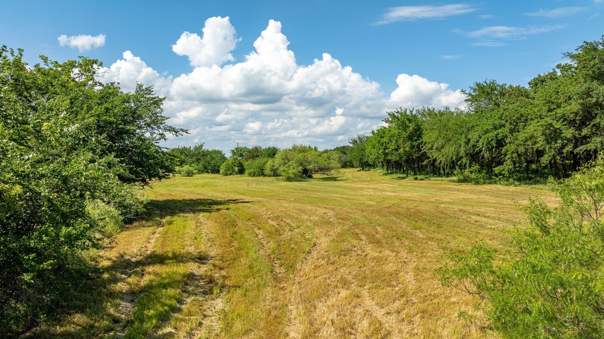 37.17 acres in Denton County gallery image 3