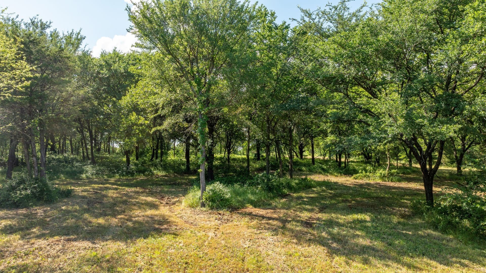 37.17 acres in Denton County - photo 11
