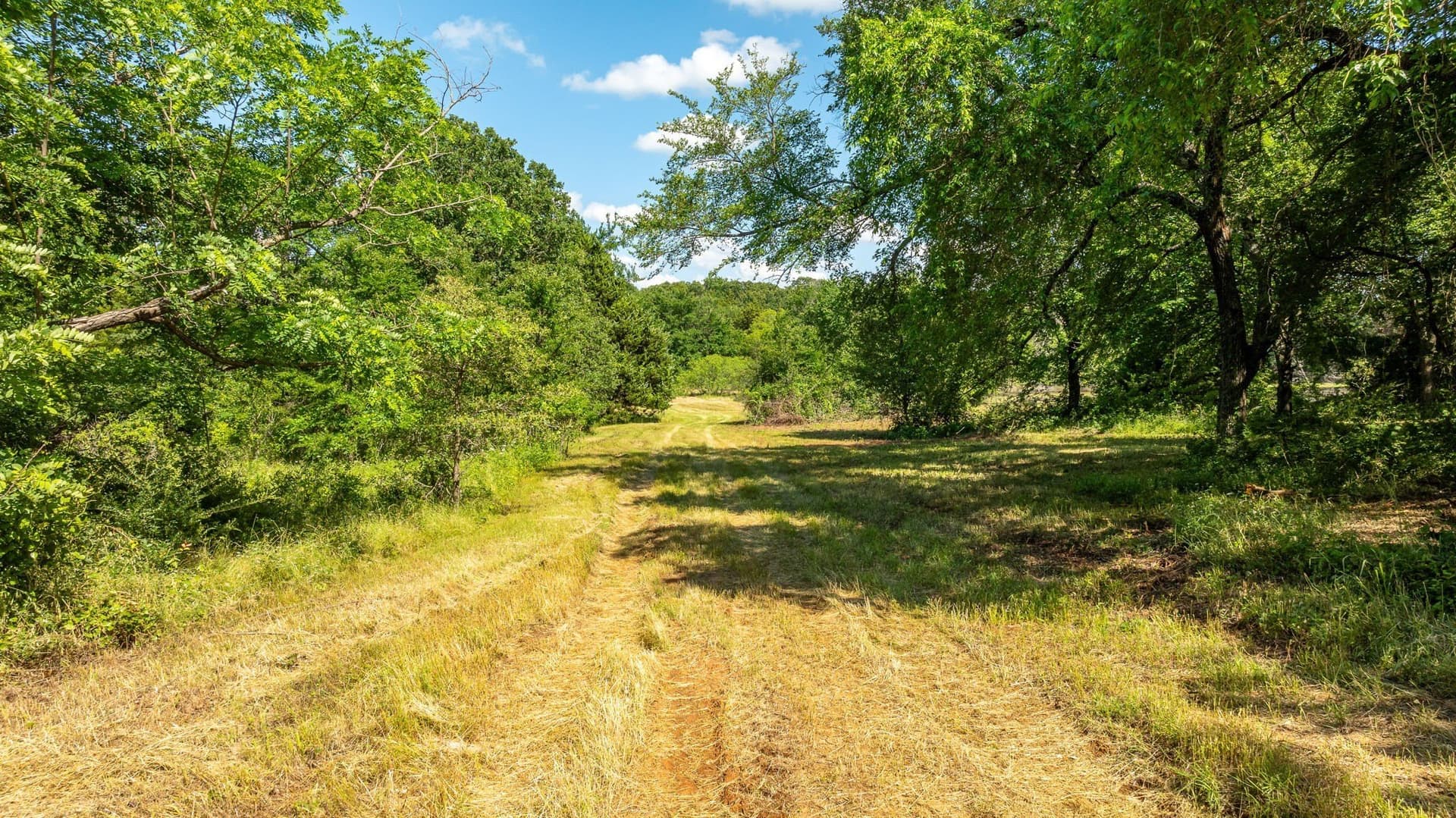 37.17 acres in Denton County - photo 29