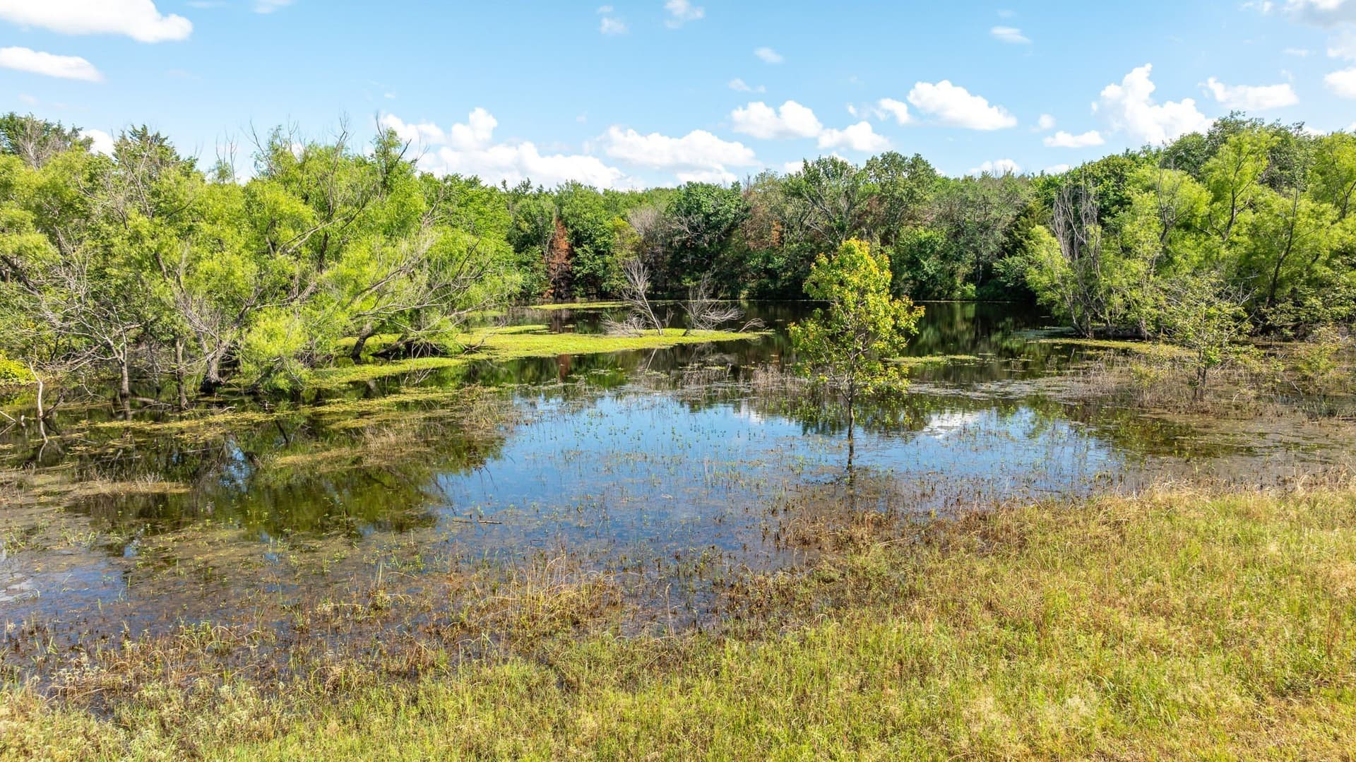 37.17 acres in Denton County - photo 6