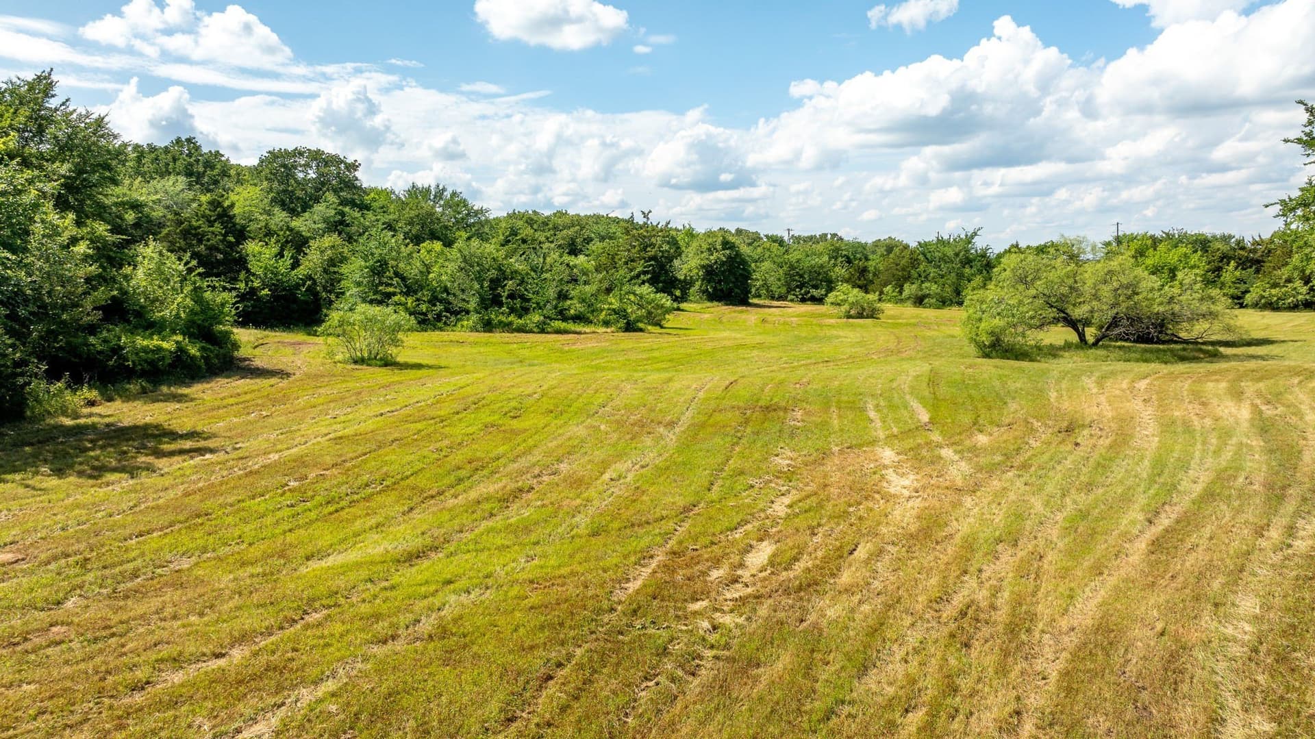 37.17 acres in Denton County - photo 12
