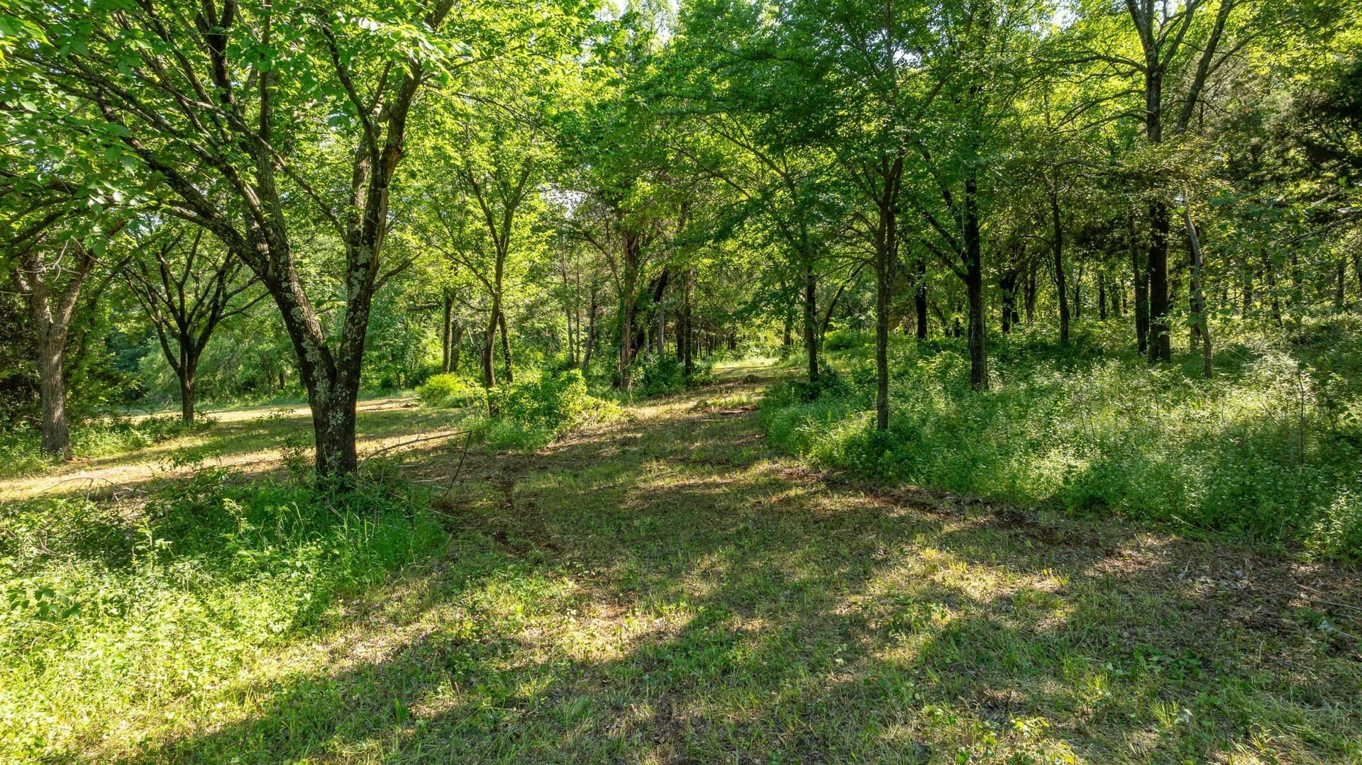 37.17 acres in Denton County - photo 10