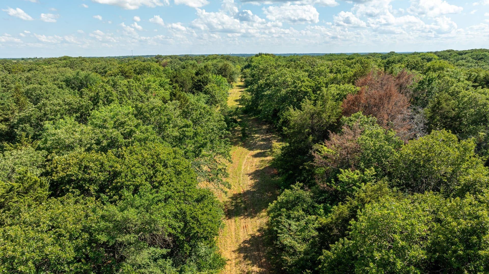 37.17 acres in Denton County - photo 27