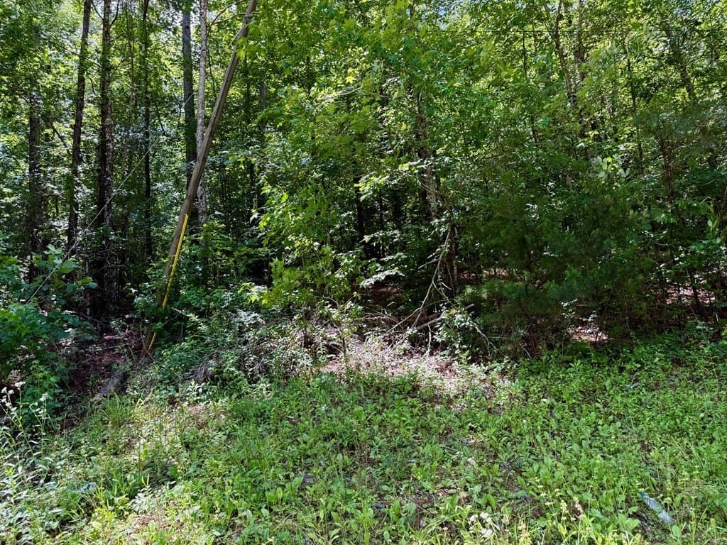 1.32 acres in Texas County featured view