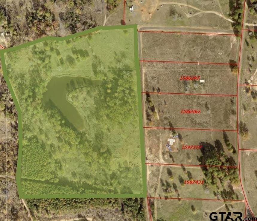 52 acres in Gregg County gallery image 2
