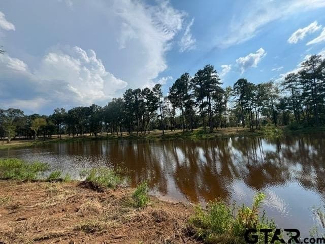 52 acres in Gregg County - photo 17