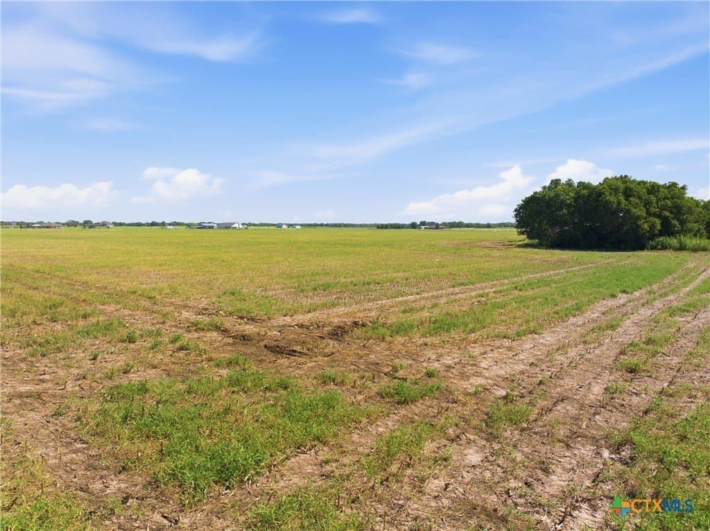 60.67 acres in McLennan County - photo 6