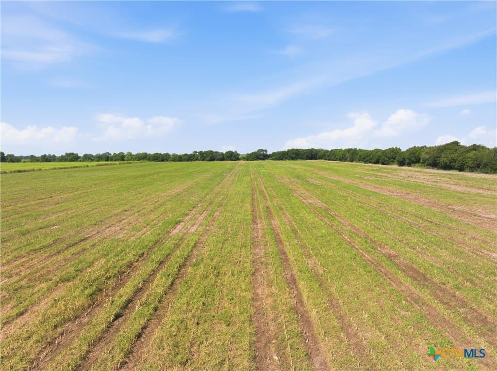60.67 acres in McLennan County - photo 9