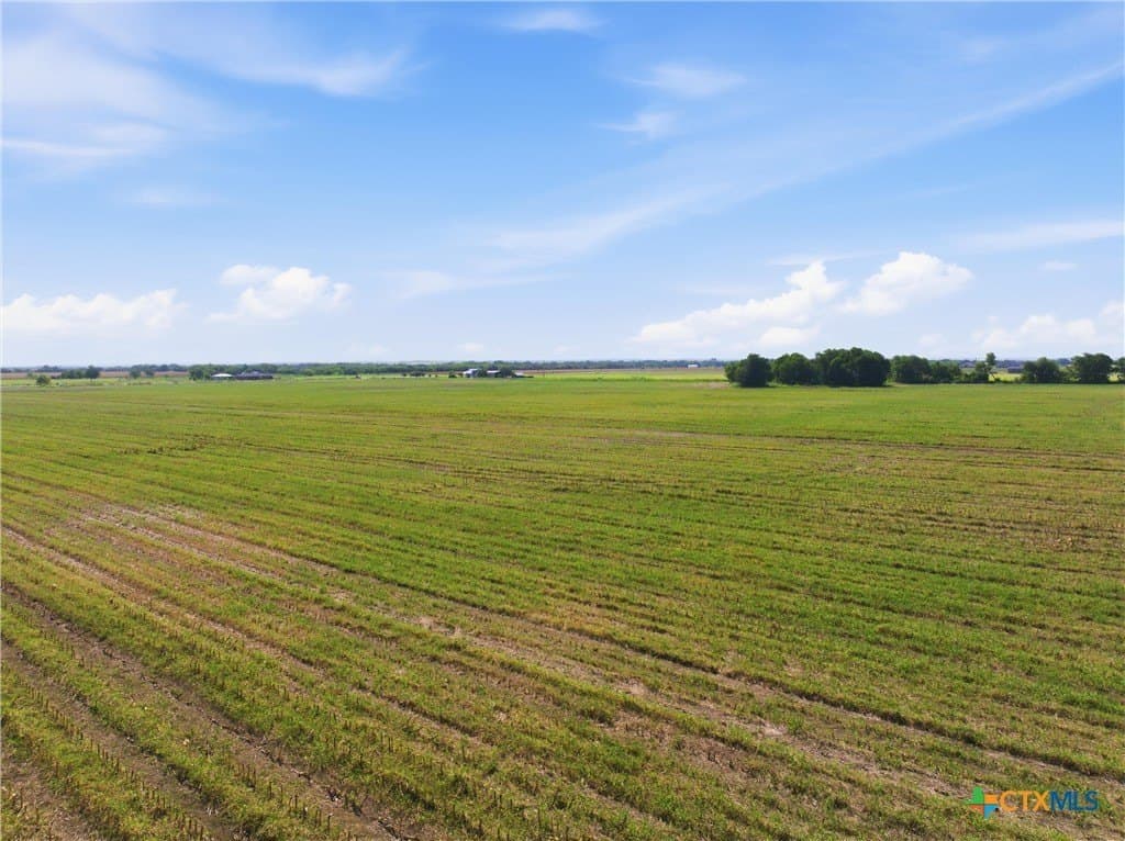 60.67 acres in McLennan County - photo 10