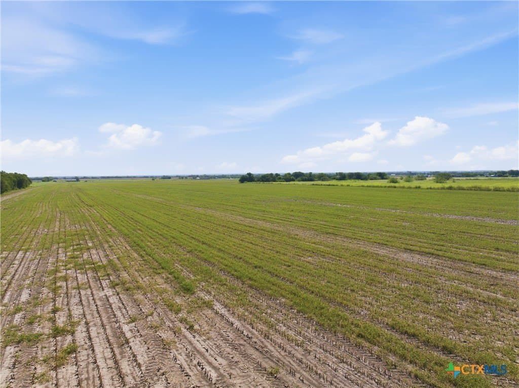 60.67 acres in McLennan County - photo 12
