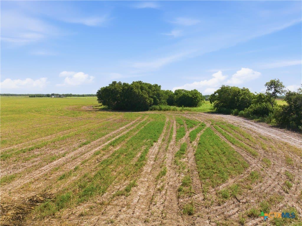 60.67 acres in McLennan County - photo 7
