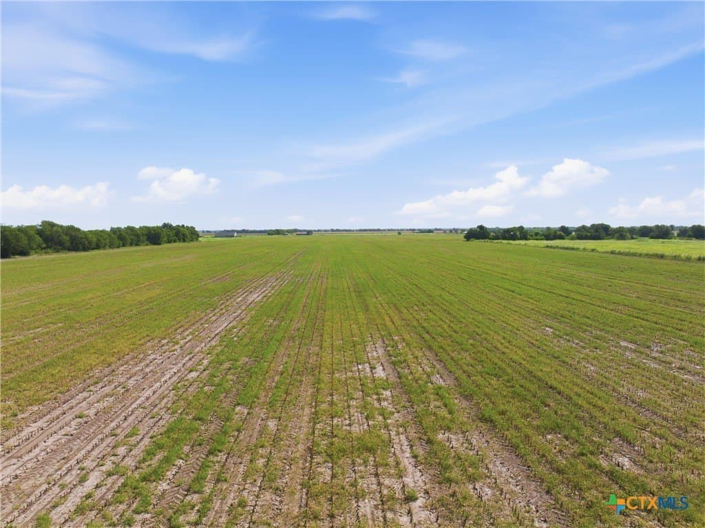 60.67 acres in McLennan County - photo 13