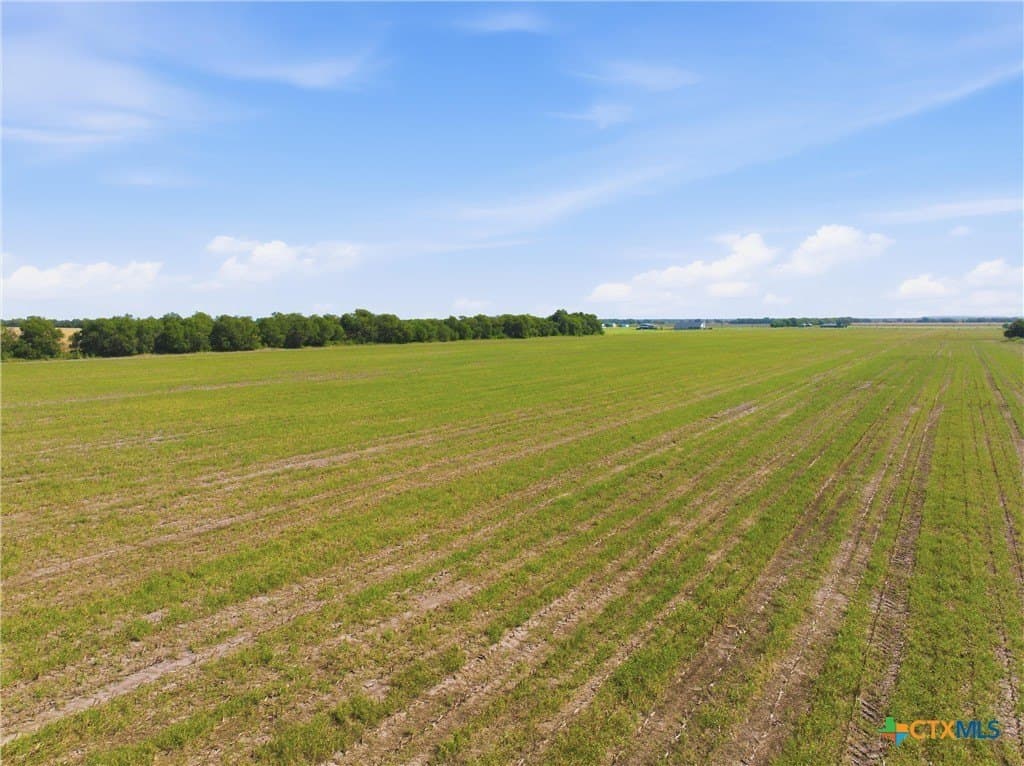 60.67 acres in McLennan County - photo 14