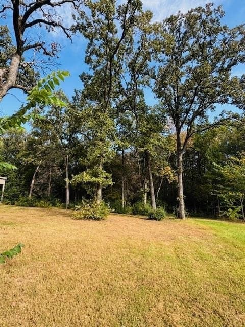 0.41 acres in Henderson County - photo 12