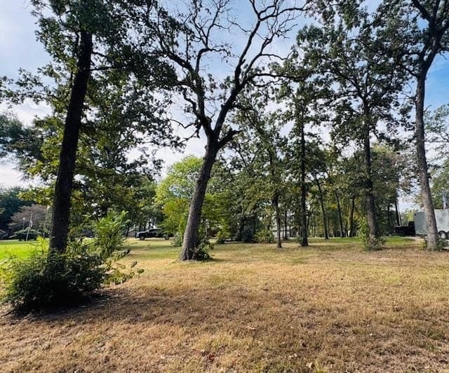 0.41 acres in Henderson County - photo 10
