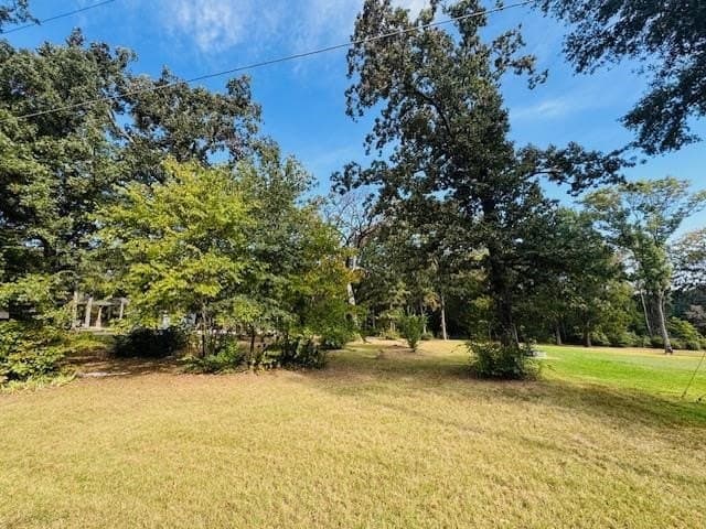 0.41 acres in Henderson County - photo 9