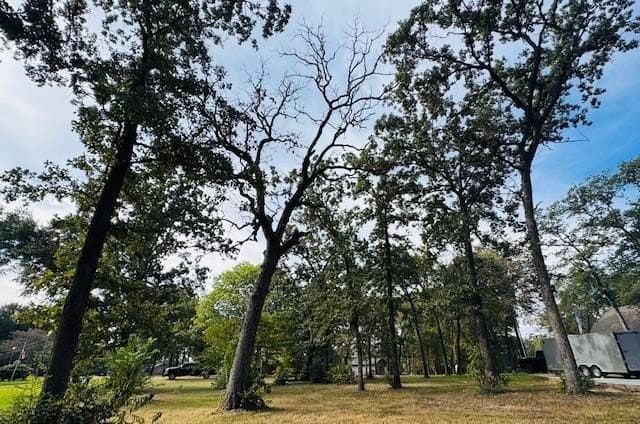 0.41 acres in Henderson County - photo 11