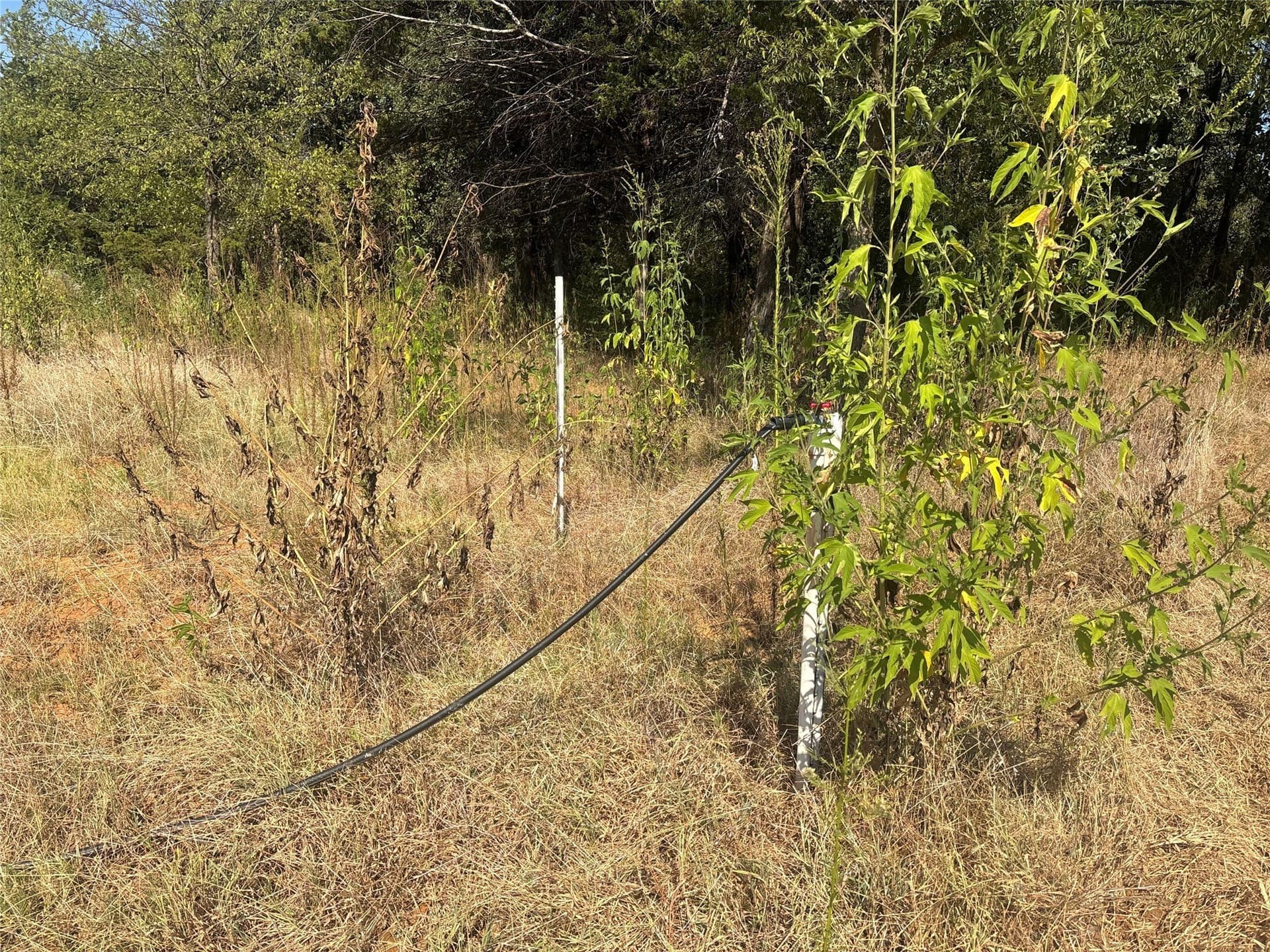 2.5 acres in Grayson County - photo 5