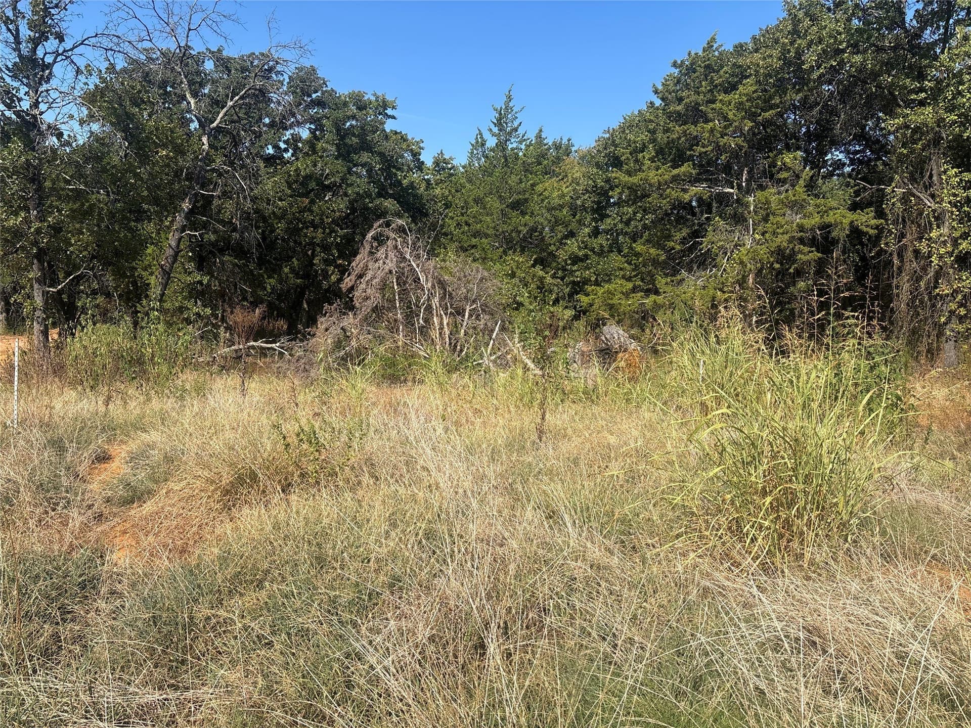 2.5 acres in Grayson County - photo 8