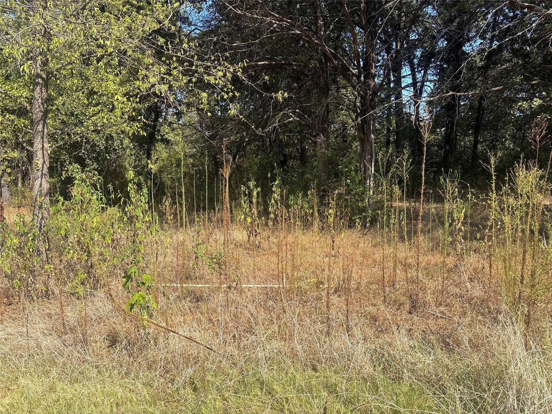 2.5 acres in Grayson County - photo 6