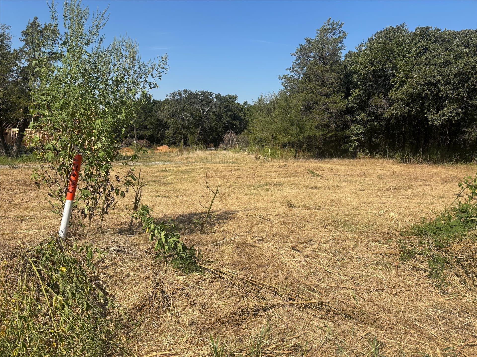 2.5 acres in Grayson County - photo 3