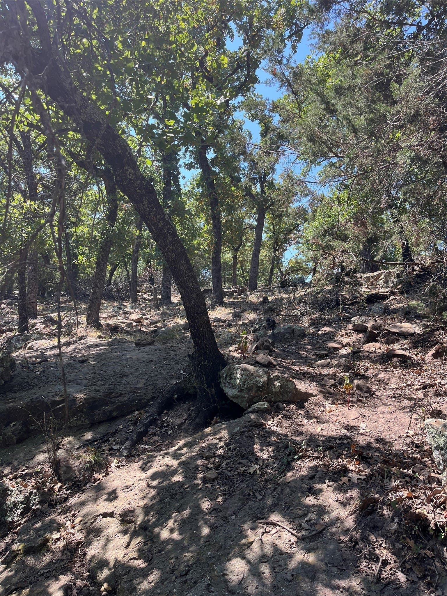 1.08 acres in Palo Pinto County - photo 3