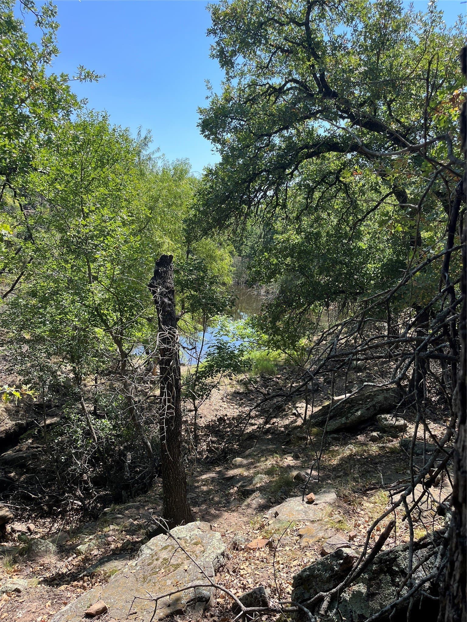 1.08 acres in Palo Pinto County - photo 2