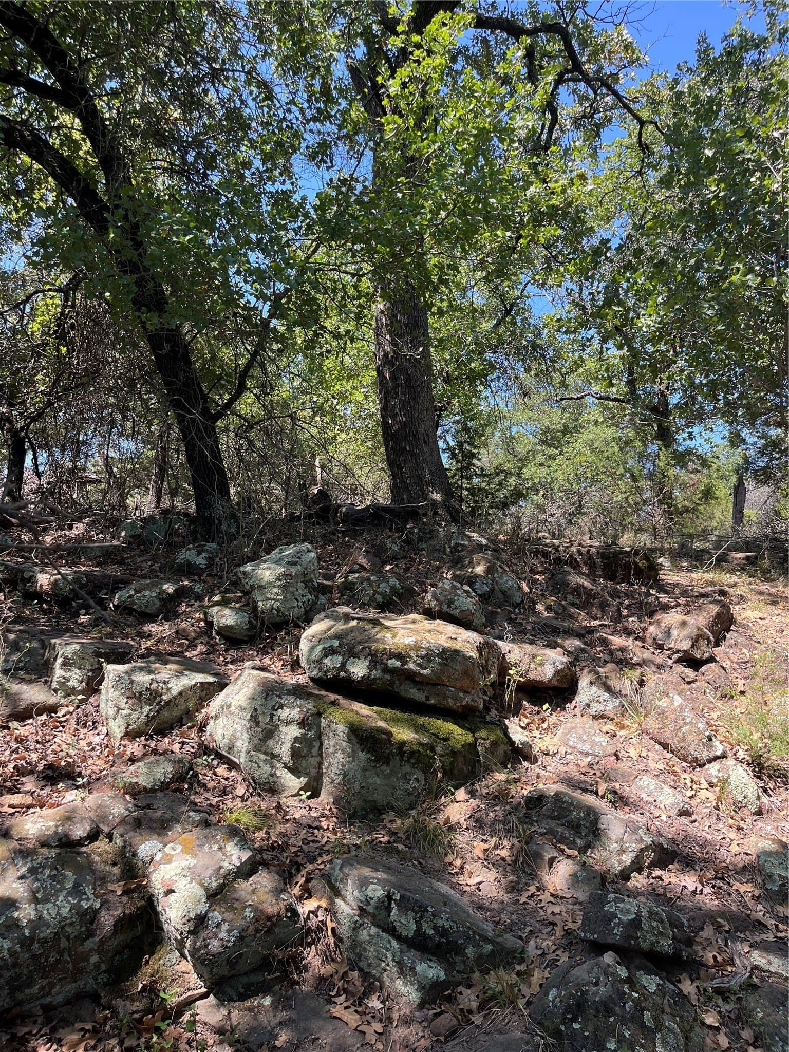 1.08 acres in Palo Pinto County - photo 5