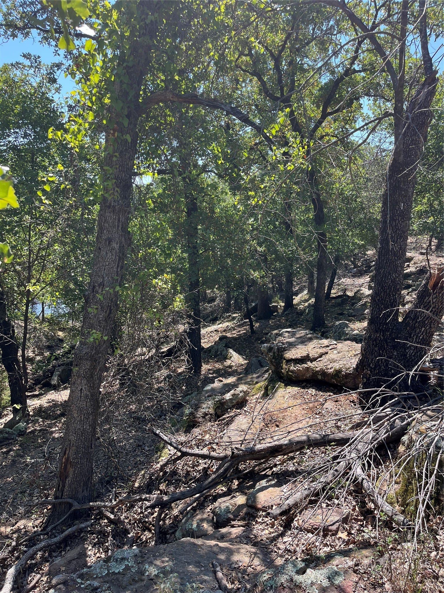 1.08 acres in Palo Pinto County - photo 4