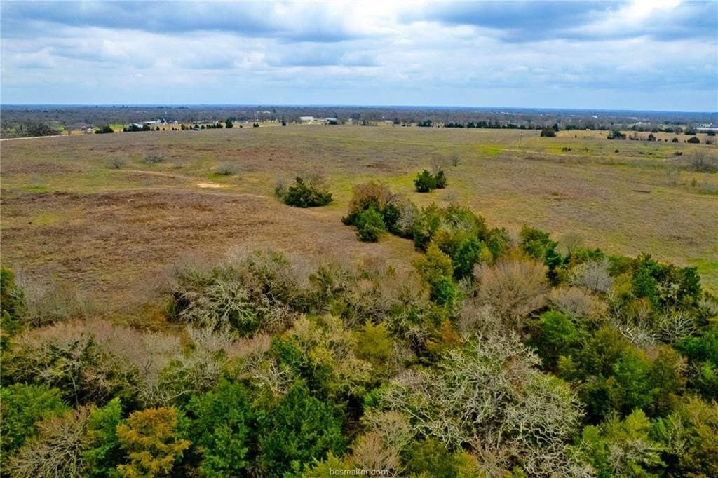 22 acres in Brazos County - photo 17