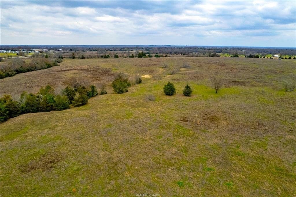 22 acres in Brazos County - photo 18