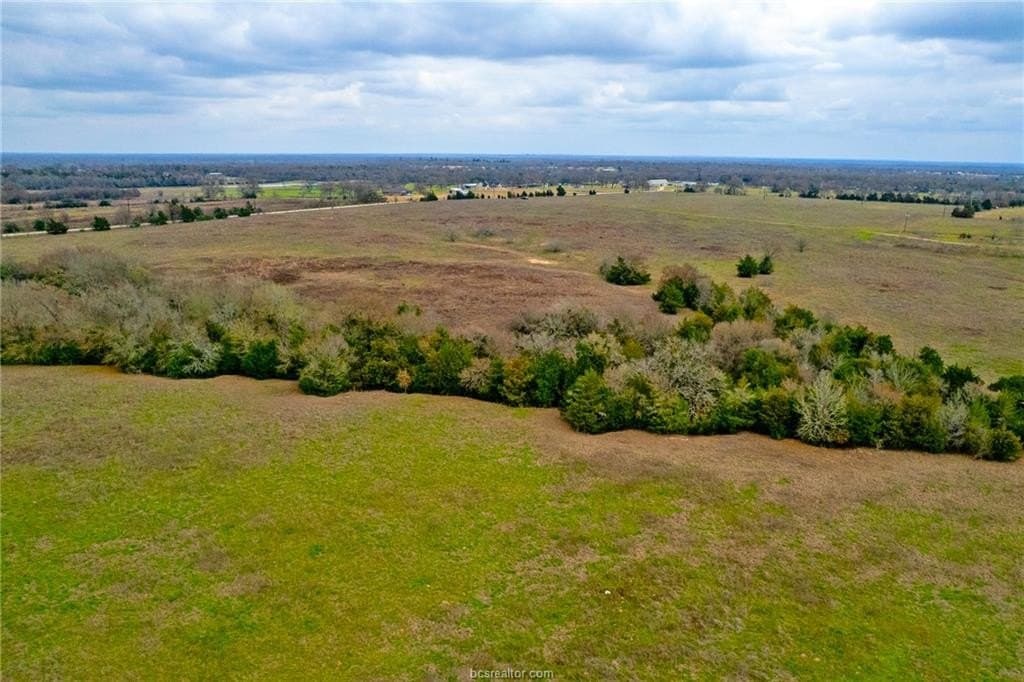 22 acres in Brazos County - photo 16