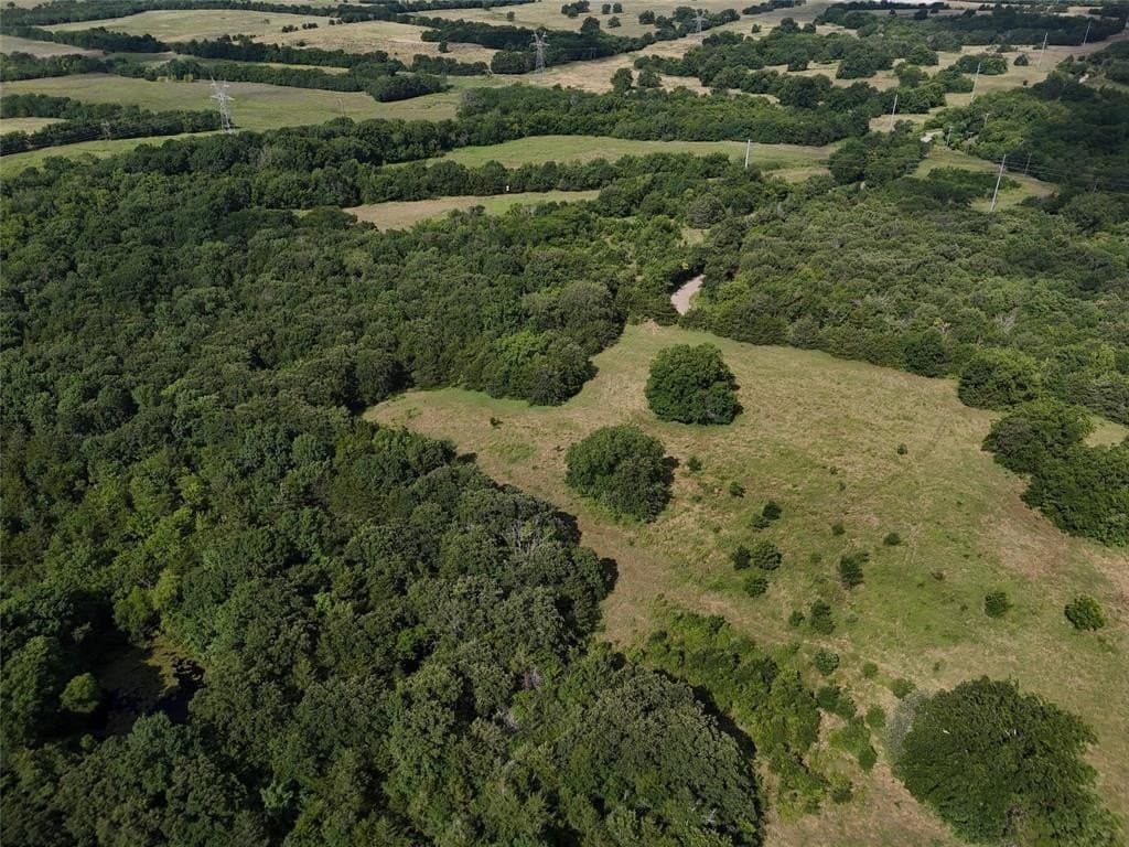 17 acres in Fannin County featured view