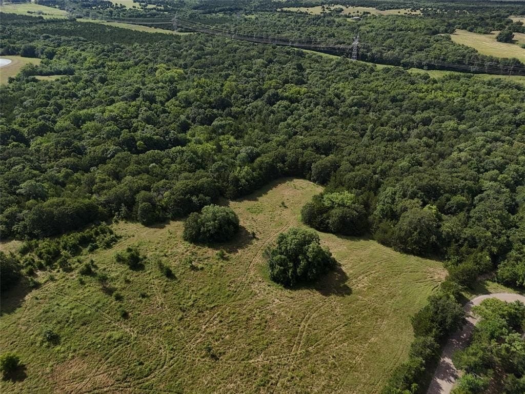 17 acres in Fannin County gallery image 4