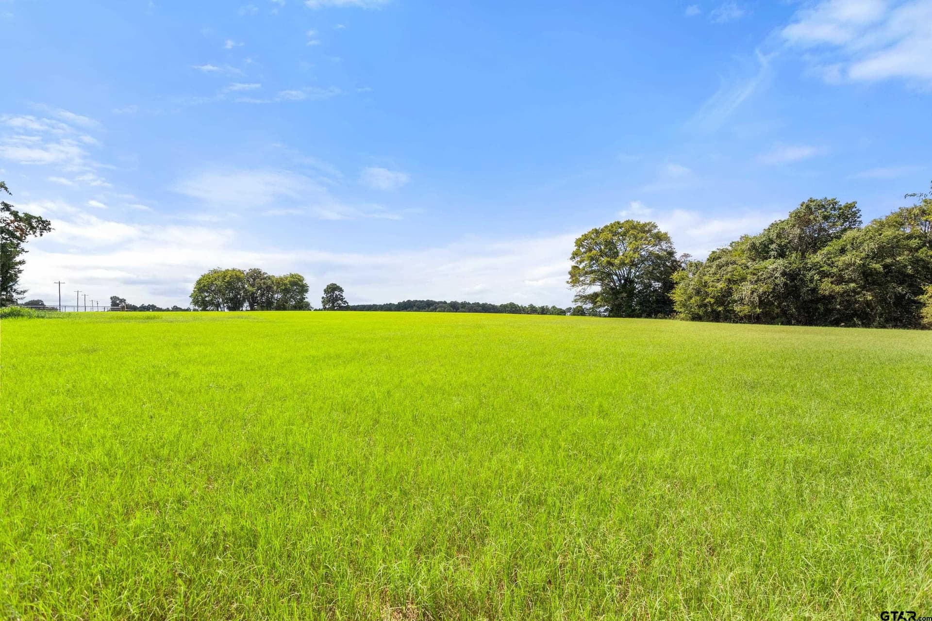 25 acres in Cherokee County - photo 12