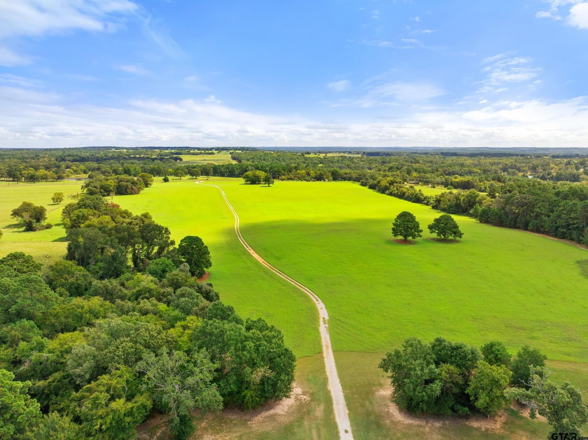 25 acres in Cherokee County gallery image 4