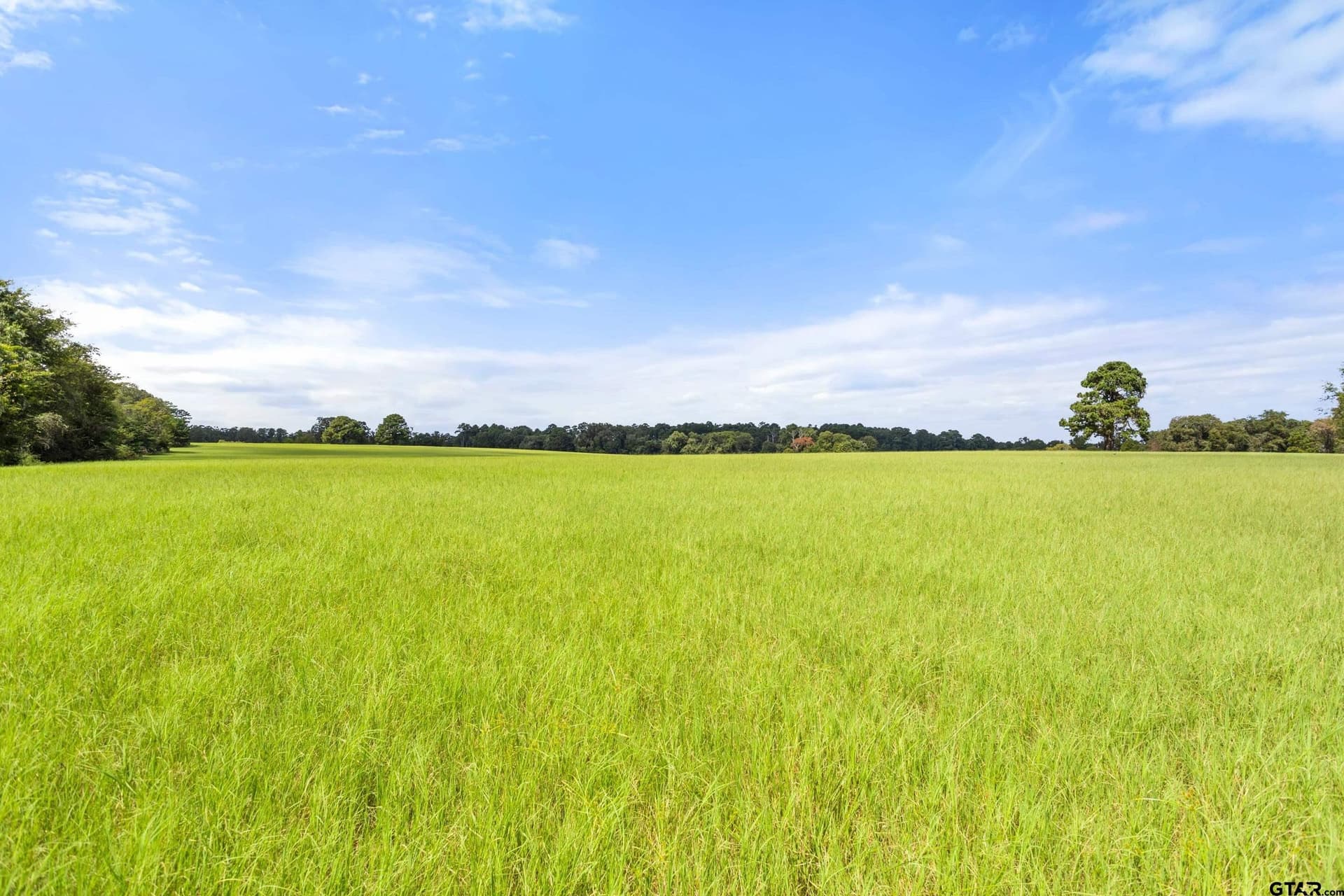 25 acres in Cherokee County - photo 9
