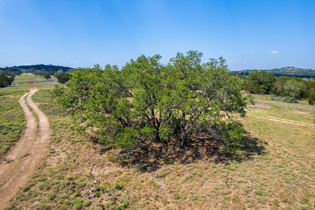 16.21 acres in Kerr County featured view
