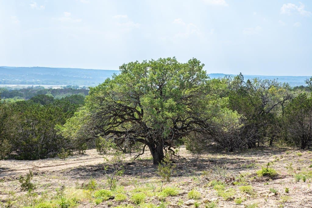 16.21 acres in Kerr County - photo 27