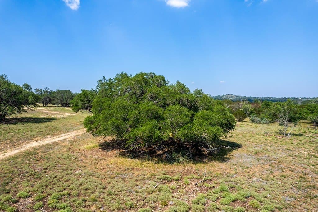 16.21 acres in Kerr County - photo 11