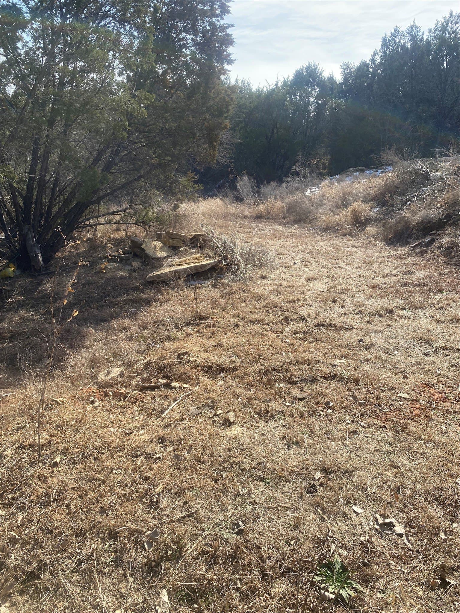 0.34 acres in Hood County - photo 3