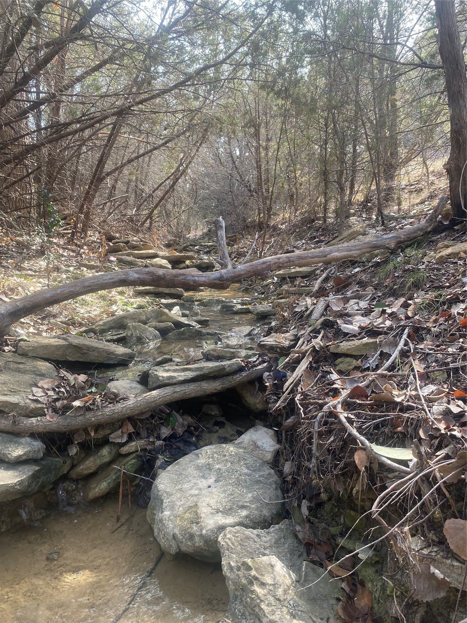 0.34 acres in Hood County - photo 6