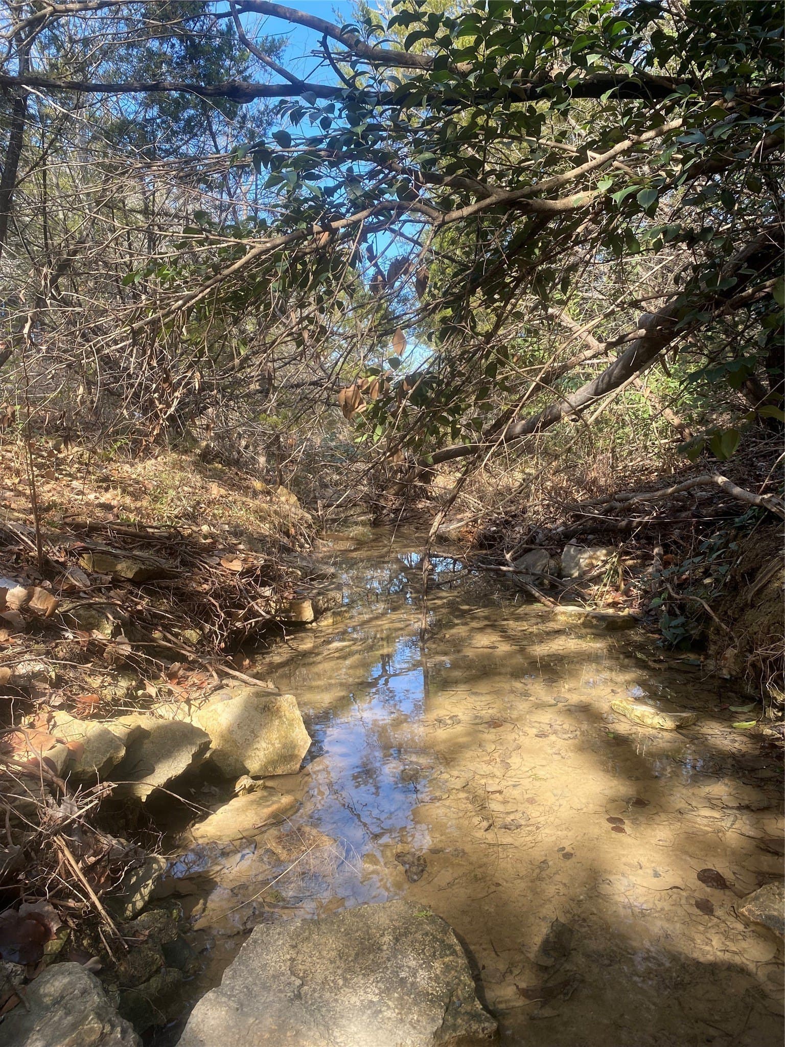 0.34 acres in Hood County - photo 7