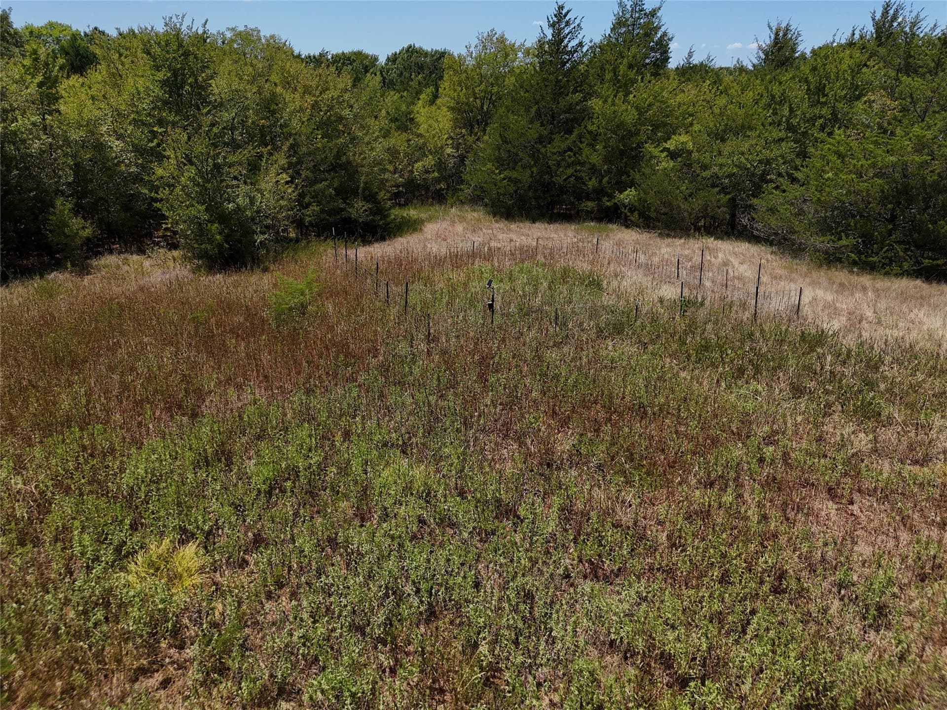 16 acres in Fannin County - photo 23