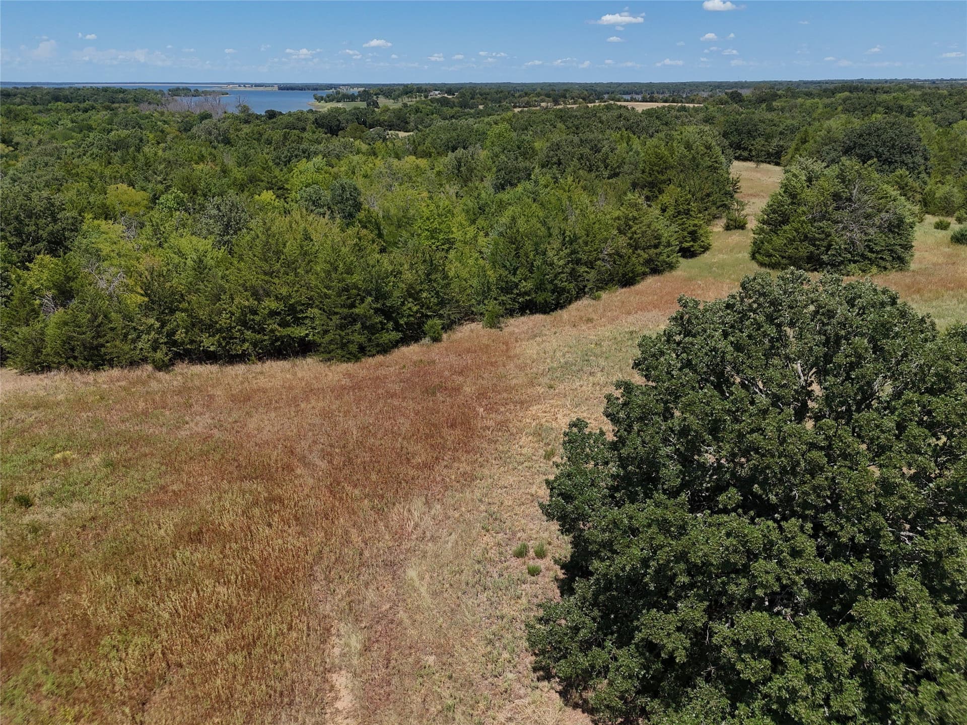 16 acres in Fannin County - photo 22