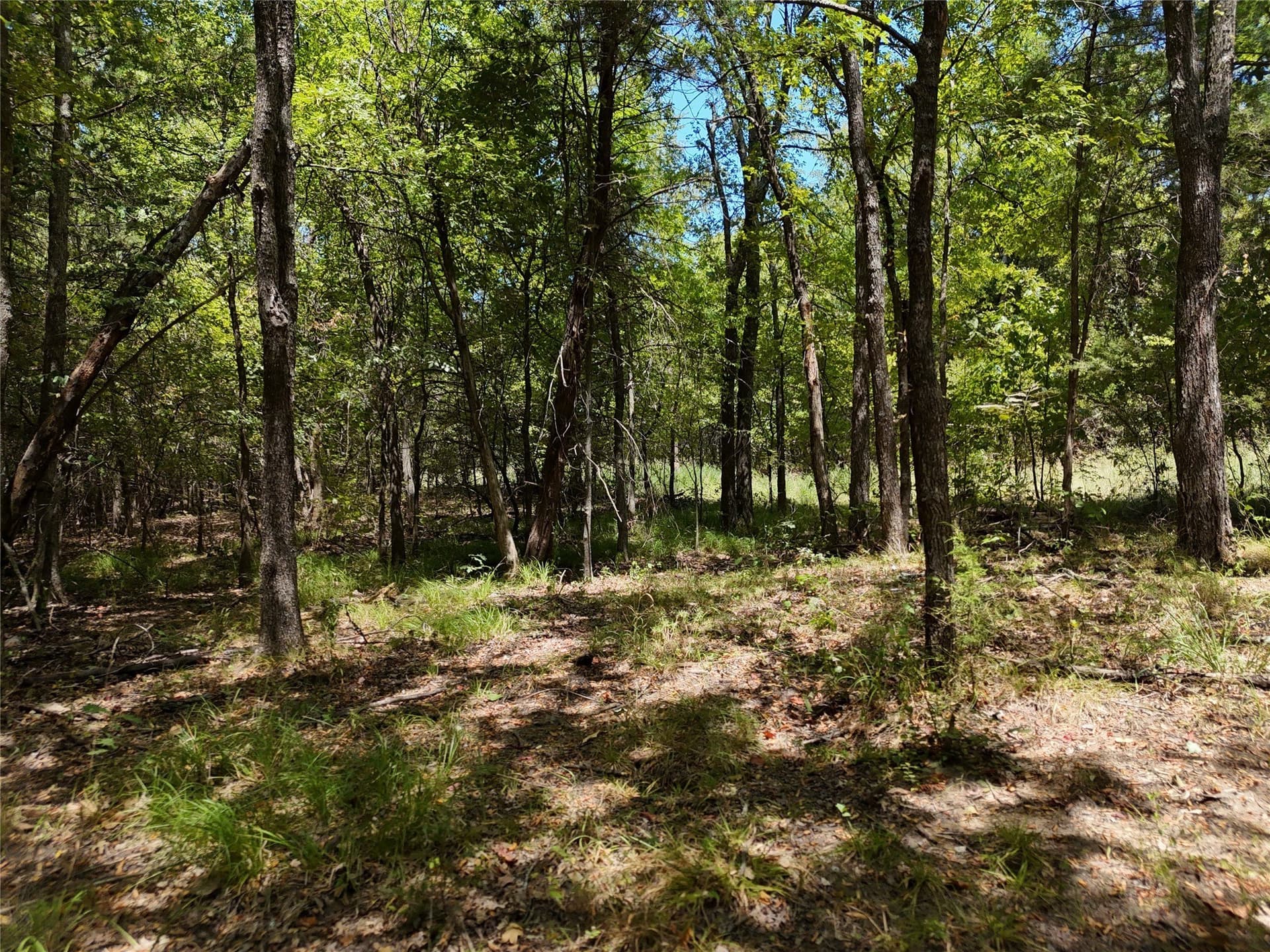 16 acres in Fannin County - photo 8